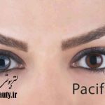لنز رنگی بوش اند لومب pacific