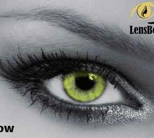 لنز رنگی سالانه سولکو yellow