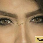 لنز پلی ویو وارم هازل، لنز رنگی سالانه