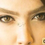 لنز پلی ویو چوکو، لنز رنگی سالانه