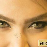 لنز پلی ویو یلو براون - لنز رنگی سالانه
