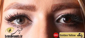 لنز رنگی فوکسون golden yellow