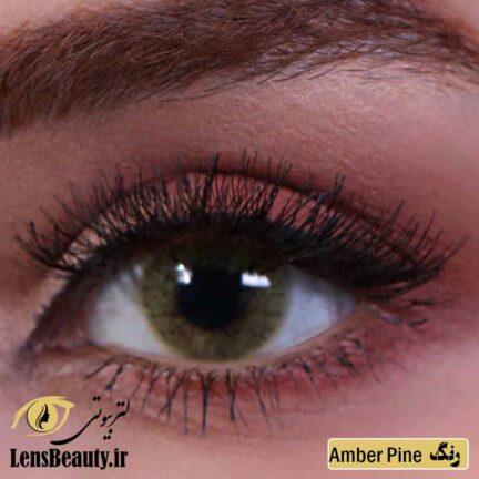 لنز رنگی سالانه جمستون لاکچری کول amber pine
