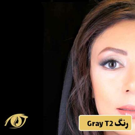 لنز فستیوال رنگ طوسی عسلی