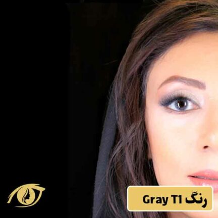 لنز فستیوال رنگ طوسی