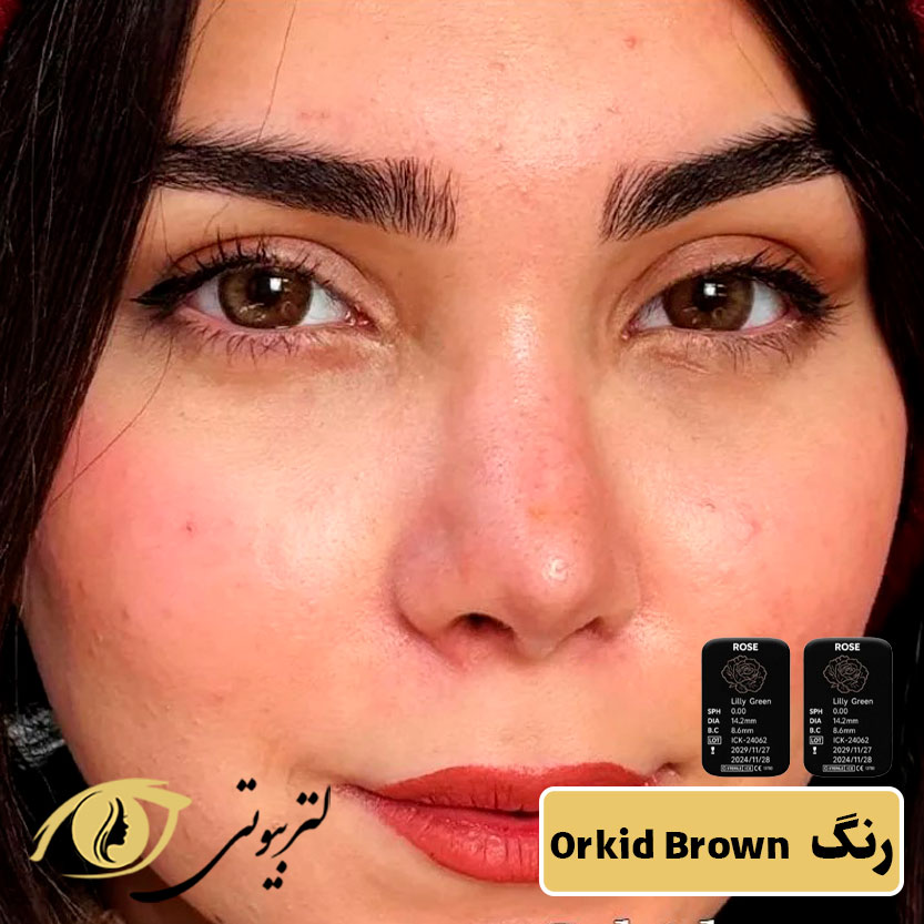 لنز رنگی فصلی رز رنگ Orkid Brown