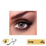 لنز رنگی فصلی لسل بوش اند لومب رنگ gray