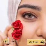 لنز رنگی فصلی رز رنگ لیلی براون lilly brown