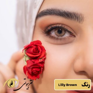 لنز رنگی فصلی رز رنگ لیلی براون lilly brown