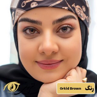 لنز رنگی فصلی رز رنگ ارکید براون orkid brown