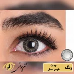 لنز رنگی ایراپتیکس رنگ gray